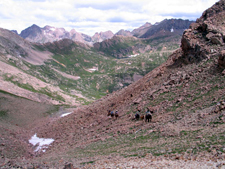 USA-Colorado-Weminuche Wilderness Pack Trip